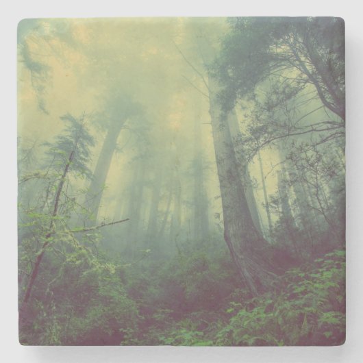 Bosland van onder stenen onderzetter (Voorkant)