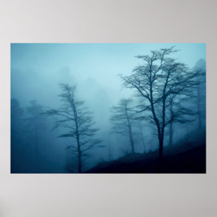 Boslandschap meditatie serene rust poster