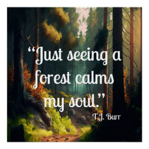 Boslandschap Perfect Poster