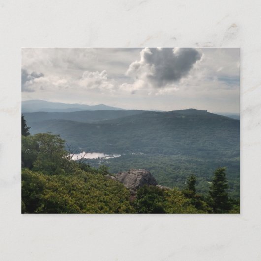 Boslandschapsfoto op standaard Briefkaart (Voorkant)