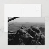 Boslandschapsfoto op standaard Briefkaart (Voorkant / Achterkant)