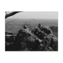 Boslandschapsfoto op standaard Briefkaart