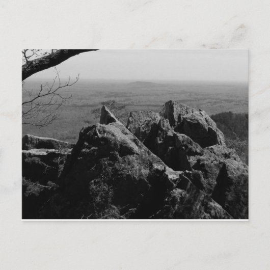 Boslandschapsfoto op standaard Briefkaart (Voorkant)