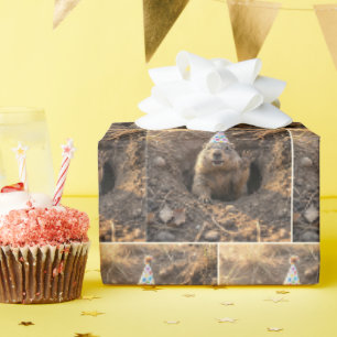 Bosmarmot met een verjaardagshoedje cadeaupapier
