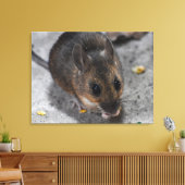 Bosmuis  canvas afdruk (Insitu (Woonkamer))