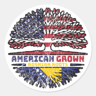Bosnisch - Amerikaanse Amerikaanse Amerikaanse Ame Ronde Sticker