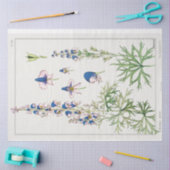 Bosnische monniken tissuepapier (Craft)