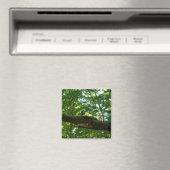 Bosoverschrijding Magneet (Insitu (Vaatwasser))