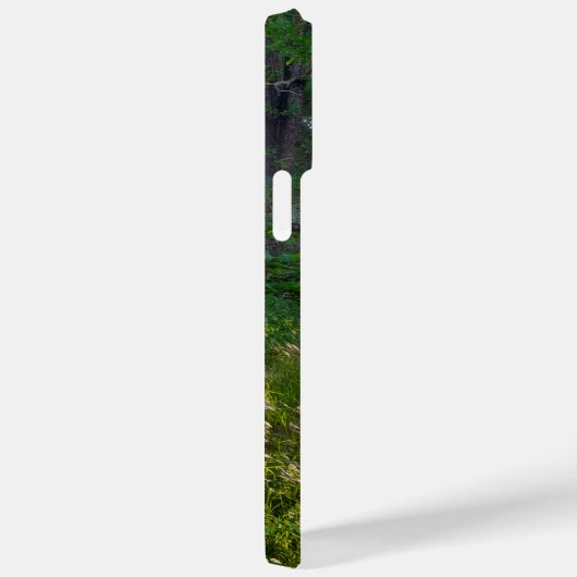 Bospad Case-Mate iPhone Case (Achterkant / Rechts)