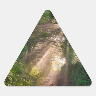 Bospad Driehoek Sticker