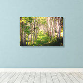 Bospad in de late lente canvas afdruk (Insitu (Houten vloer))