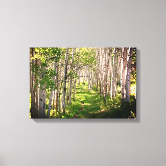 Bospad in de late lente canvas afdruk (Voorkant)