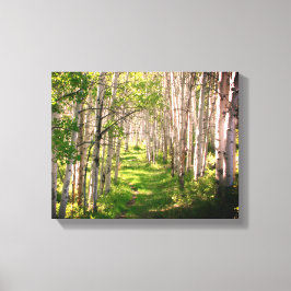 Bospad in de late lente canvas afdruk