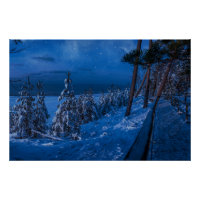 Bospad in de winternacht