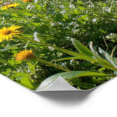 Bospad met gele wilde bloemen poster (Hoek)