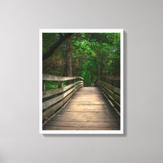 Bospad Sereniteit Canvas Afdruk