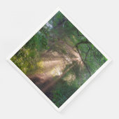 Bospad Servet (Hoek)