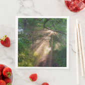 Bospad Servet (Insitu)