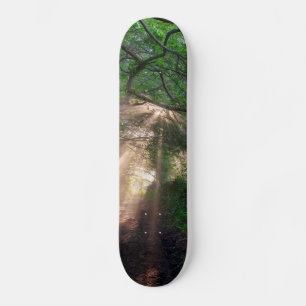 Bospad Skateboard