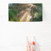 Bospad Spandoek (Insitu)