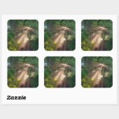 Bospad Vierkante Sticker (Vel)