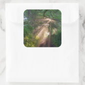 Bospad Vierkante Sticker (Tas)