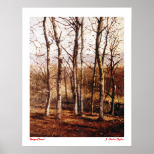 Bosque/bos Poster