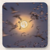 Bosque del Apache National Wildlife Refuge Bier Onderzetter (Voorkant)