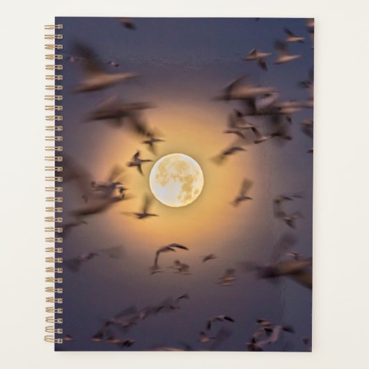 Bosque del Apache National Wildlife Refuge Planner (Voorkant)