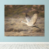 Bosque del Apache NWR Canvas Afdruk (Insitu (Houten vloer))
