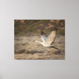 Bosque del Apache NWR Canvas Afdruk