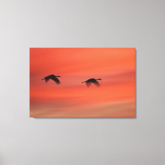 Bosque del Apache Wildlife Refuge | Nieuw-Mexico Canvas Afdruk (Voorkant)