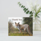 Bosrode Vos Bedankkaart Briefkaart (Staand voorkant)