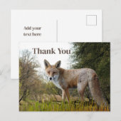 Bosrode Vos Bedankkaart Briefkaart (Voorkant / Achterkant)