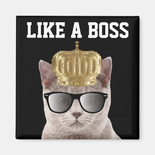BOSS CAT ANNIVERSAIRE MAGNETS (Devant)