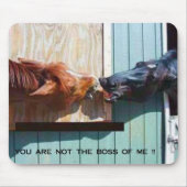 BOSS MUISMAT (Voorkant)