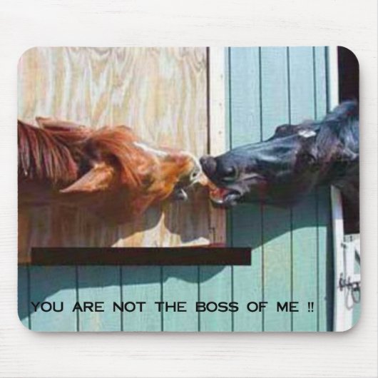 BOSS MUISMAT (Voorkant)