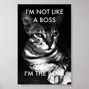 Boss Poster