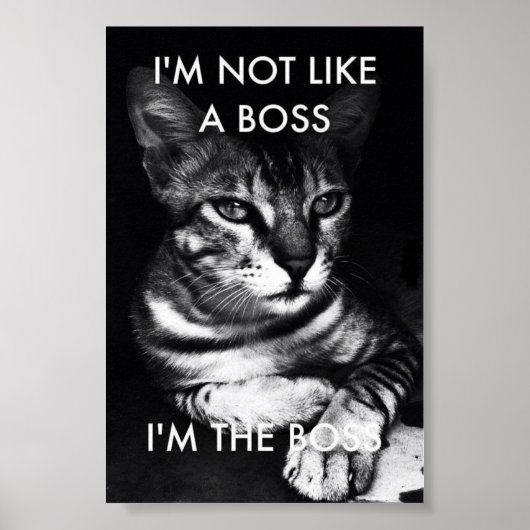 Boss Poster (Voorkant)