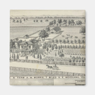 Bossen, boerderijen magneet