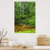 Bossen, de Knysna-Amatole Montane Poster (Keuken)