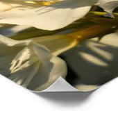 Bossen en blauwe hemden poster (Hoek)