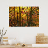 Bossen in auto ' s - poster (Keuken)