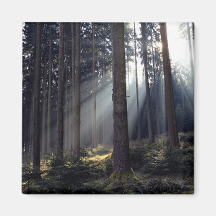 Bossen in Beieren Magneet