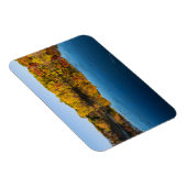 bossen in het marthaler park en reflecties in het  magneet (Rechterzijde)