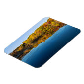 bossen in het marthaler park en reflecties in het  magneet (Linkerzijde)