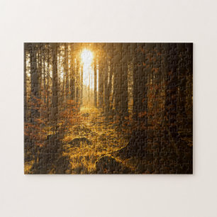 Bossen in het najaar Baden Württemberg, Duitsla Legpuzzel