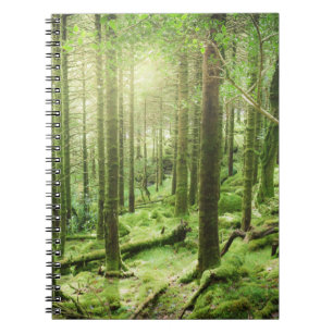 Bossen in het Nationaal Park Killarney Kerry, Ie Notitieboek
