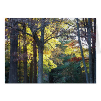 bossen kaart