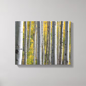 "Bossen met boomstam" Canvas Afdruk (Voorkant)